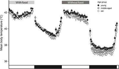 Rest-Phase Hypothermia Reveals a Link Between Aging and Oxidative Stress: A Novel Hypothesis